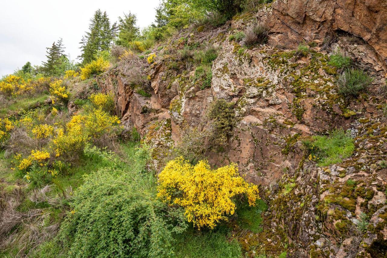 Moulin Des Comtes - Chambre Les Rochers Viverols Exteriér fotografie
